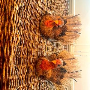 Cute little turkeys!